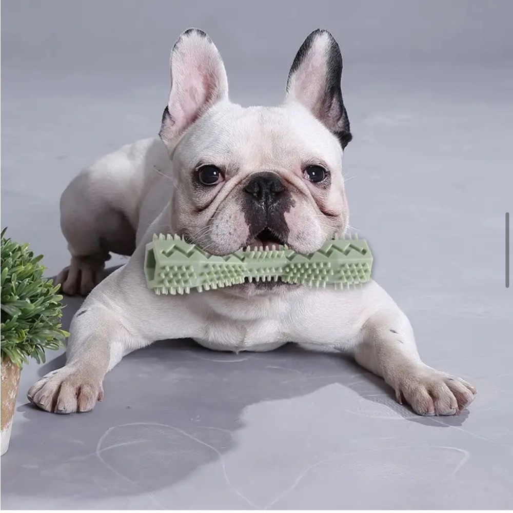 Set of 4 interactive pet chewing toys for dogs & cats, Like New, Multicolor